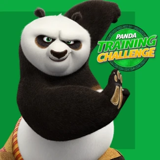 Kung Fu Panda: Training Challenge Game